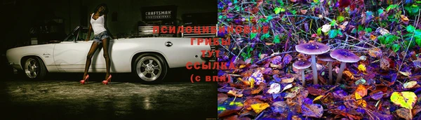 таблы Кукмор