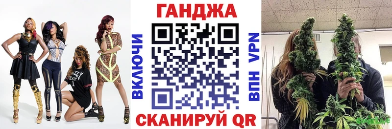 Купить где  Игра  Конопля сатива 
